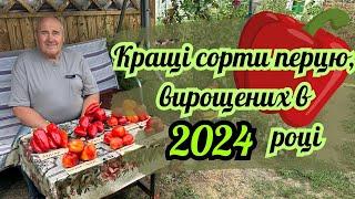 Кращі сорти перцю вирощених в 2024 році