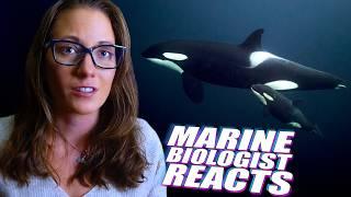 Marine Biologist Reacts to Grieving Orca Carrying Her Calf Again