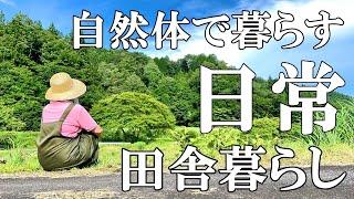 【自給自足】野菜作りと果樹栽培 らっきょうの甘酢漬け 保護猫のお迎え  自然豊かな山奥暮らしの日々｜村暮らし｜移住｜料理【標高800mの田舎暮らし】