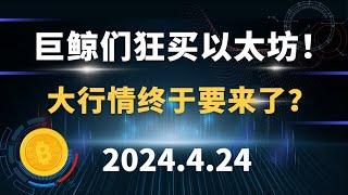 巨鲸们狂买以太坊！大行情终于要来了？4.24 比特币 以太坊 sol doge 行情分析。