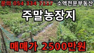 (NO.623) 영천땅 영천부동산  주말농장지  매매가 2500만원  땅사모TV