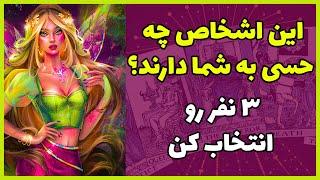 فال تاروت | این اشخاص چه حسی به شما دارند؟ - سه نفر رو انتخاب کن - Farsi Tarot