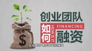 創業資金解鎖 | 從小型貸款到大灣區資助