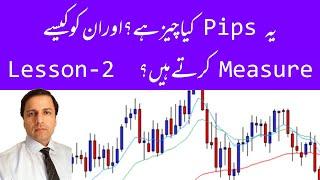 What is a Pip?  (For Beginners) -  Lesson # 2 - (Urdu, Hindi)