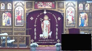 St Luke ACOC Live Stream