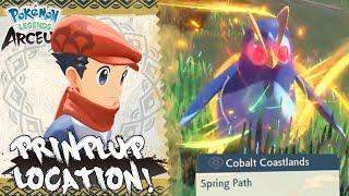 Where To Find Prinplup In Pokemon Legends Arceus (Spring Path Prinplup Location Guide)