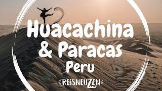 HUACACHINA & PARACAS PERU  | SPELEN IN DE WOESTIJN EN HEEL VEEL VOGELPOEP | WERELDREIS VLOG 37