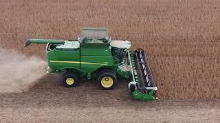 Soybean Harvest 2023