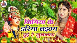 देवी पचरा गीत Video Jukebox || निमिया के दढ़िया बईठे दुई रे सुगनवा || Susmita Paswan Devi Geet 2024