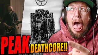 DEATHCORE IS CHANGING... Disembodied Tyrant "The Tower: Part One" EP Reaction