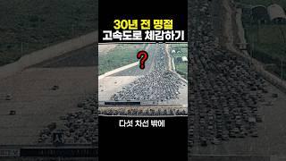 30년 전 명절 고속도로 체감하기