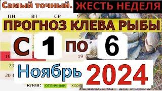 Прогноз клева рыбы на Эту неделю с 1 по 6 ноября 2024 Лунный Календарь рыбака Лунный прогноз клева