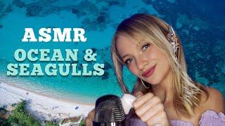 ASMR Ocean & Seagulls  1 Hour of Your Favorite Trigger (No Talking)