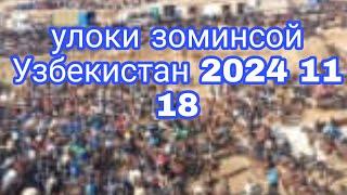 УЛОК ЗОМИНСОЙ УЗБЕКИСТАН 2024 11 18