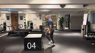 Program E CARDIO  Jan /2025   Box Jump   (soft landing) walking down always.