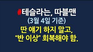 테슬라 분석은, 따블맨_3월4일