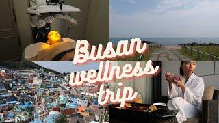 3 Days Busan Wellness Trip - Busan Meditour