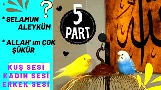 Konuşturan Muhabbet Kuşu Sesi (Part 5) 2 SAAT Dinlet Konuşsun... #muhabbetkuşusesi #muhabbetkususesi