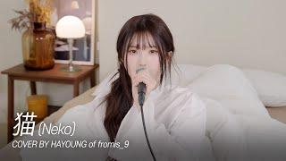 [fl▶ylist] ‘DISH// - 猫(Neko)’ cover by 하영