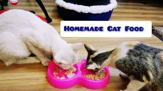 Homemade Cat Food|Cats enjoying food|Cats eating Cat Food|