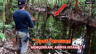 Spot Mancing Perawan Yang Sangat Menantang || Air Hitam Hutan Kalimantan.