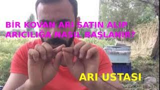 BİR KOVAN ARI SATIN ALIP ARICILIĞA NASIL BAŞLANIR? Arı Ustası Sıfırdan Kolay Arıcılık Kursu-2