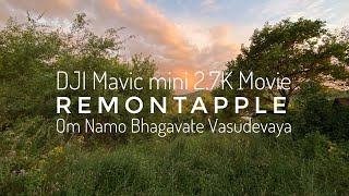 Remontapple - Om Namo Bhagavate Vasudevaya