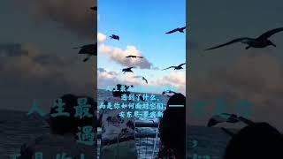 我爸爸妈妈的生活掠影2 A Glimpse of My Parents’ Lives(Two) 看落日与海鸟 Sunset & Seagulls