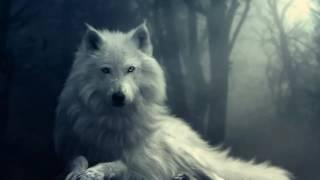 Epic Music - White Wolf Spirit