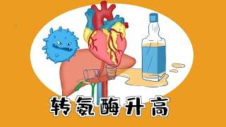 医学漫画 | 一图记住【转氨酶升高】所有病因Medical Comics | One Picture to Remember [Elevated Transaminase] All Causes