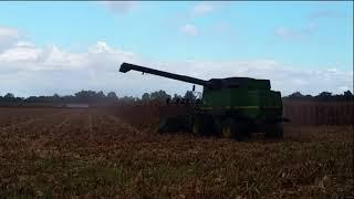 Harvesting Corn- Giffin Farms-October 7, 2017