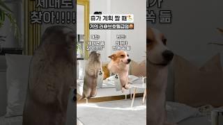 휴가 계획 짤 때ㅋㅋ