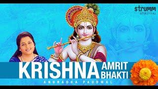 Krishna Amrit Bhakti I Anuradha Paudwal I New Krishna Bhajan