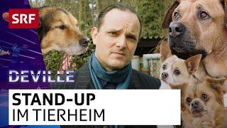 Deville im Tierheim | Deville