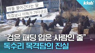 몽골에서 3,000km 날아온 아기 독수리들｜크랩