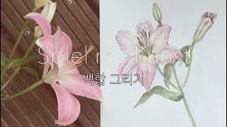 [소소한 이야기가 있는 힐링 드로잉] 백합그리기 | 독일일상 | 독일풍경 | Lily drawing