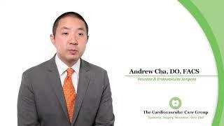 Andrew Cha, DO, FACS - What Do I Enjoy Most About Vascular Medicine?