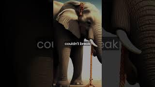 Unshackling Limiting Beliefs: The Elephant and the Rope's Inspiring Lesson on Human Potential.