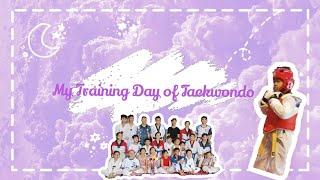 My Training Day Of Taekwondo || Stephanie Noppies