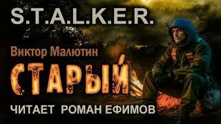 S.T.A.L.K.E.R. Старый (аудиокнига). БОЕВАЯ ФАНТАСТИКА. Виктор Малютин. Читает Роман Ефимов.