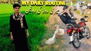 My Daily Routine | My Second Vlogs | Kashi Village Vlogs