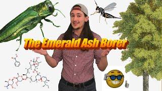 Emerald Ash Borer Documentary