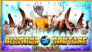 Diamond and Rare Montage 2023! - theHunter Call of the Wild