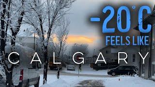 【4K】Calgary snow Arctic Chill , Calgary, Canada ️ |Winter Walking Tour! #Calgary #walkingtour