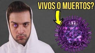 ¿Los VIRUS están VIVOS? | WillDiv