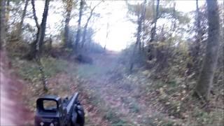 29.10.16 tir d'un sanglier au fusil à pompe taurus