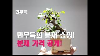 40. 만무득의 분재 쇼핑!        분재 가격 공개