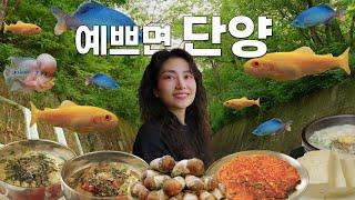 하루 꽉 채운 단양 여행 풀코스 아무도 모르는 맛집도 다녀왔어요!! 단양 바이브