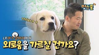 내 아기 강아지에게 ‘외로움을 가르칠 건가요?’│강형욱의 멍스쿨 초보 보호자