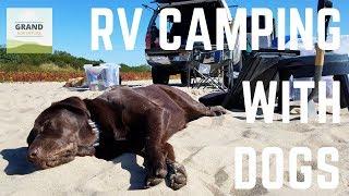 Ep. 86: RV Camping with Dogs | RV travel tips tricks how-to